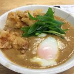 築港麺工房　薬膳カレー鶏天うどん